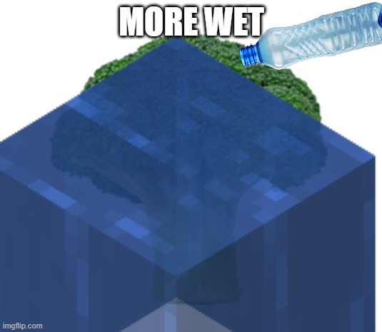 MORE WET | made w/ Imgflip meme maker