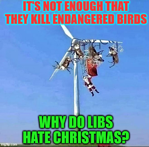 Why do libs hate Christmas? | IT'S NOT ENOUGH THAT THEY KILL ENDANGERED BIRDS; WHY DO LIBS HATE CHRISTMAS? | image tagged in libs,hate,christmas | made w/ Imgflip meme maker