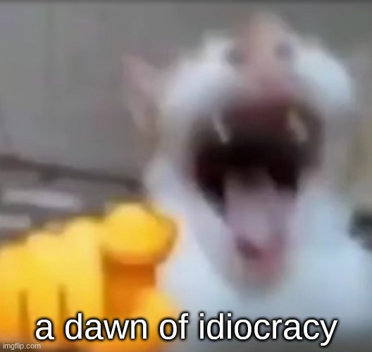 Cat pointing and laughing | a dawn of idiocracy | image tagged in cat pointing and laughing | made w/ Imgflip meme maker