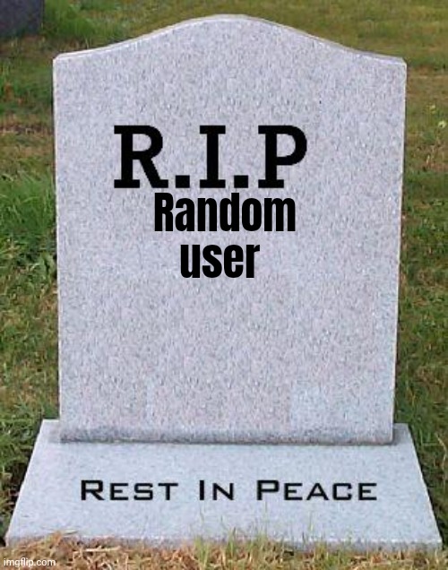 RIP headstone | Random user | image tagged in rip headstone | made w/ Imgflip meme maker