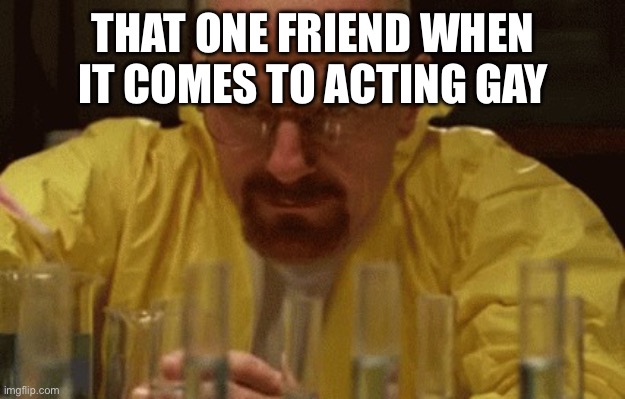 Walter White Cooking | THAT ONE FRIEND WHEN IT COMES TO ACTING GAY | image tagged in walter white cooking | made w/ Imgflip meme maker