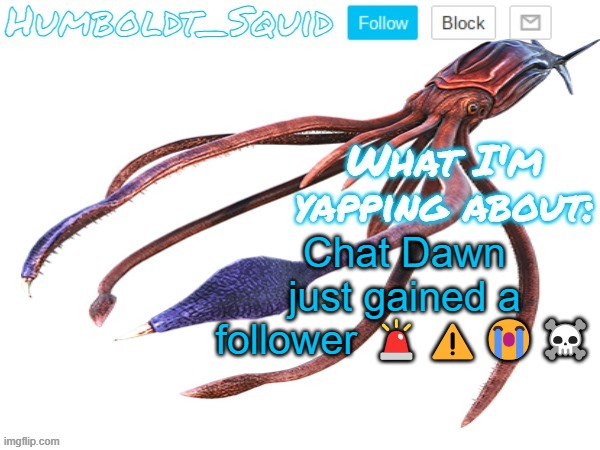 Humboldt_Squid Announcement Template | Chat Dawn just gained a follower 🚨⚠️😭☠️ | made w/ Imgflip meme maker