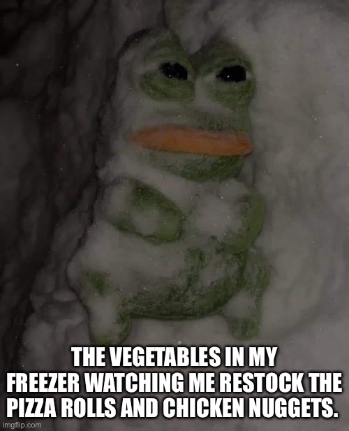 Junk food | THE VEGETABLES IN MY FREEZER WATCHING ME RESTOCK THE PIZZA ROLLS AND CHICKEN NUGGETS. | image tagged in lazy sloth,junk food,bad choices,men,bruh,too damn high | made w/ Imgflip meme maker