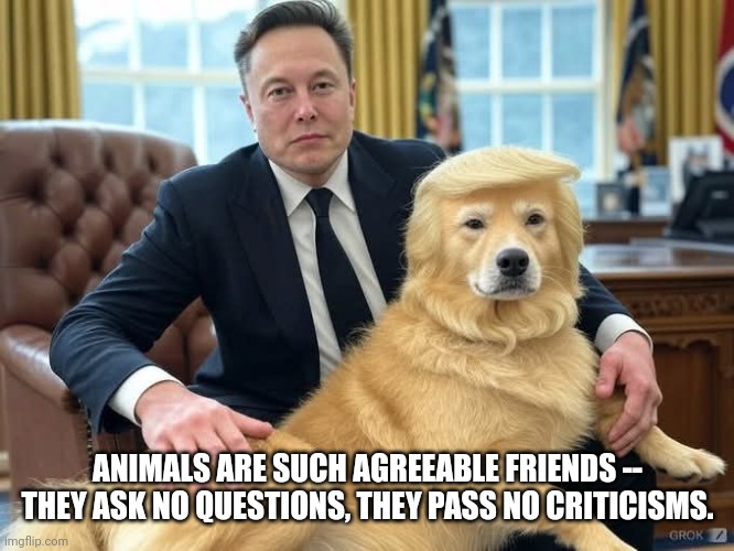 Elon Musk has a cute pet! | ANIMALS ARE SUCH AGREEABLE FRIENDS -- THEY ASK NO QUESTIONS, THEY PASS NO CRITICISMS. | image tagged in elon musk cuddles his pet lap dog trump,politics,republican,maga | made w/ Imgflip meme maker