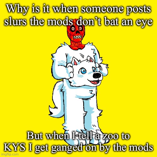 Vita mimic furry | Why is it when someone posts slurs the mods don’t bat an eye; But when I tell a zoo to KYS I get ganged on by the mods | image tagged in vita mimic furry | made w/ Imgflip meme maker