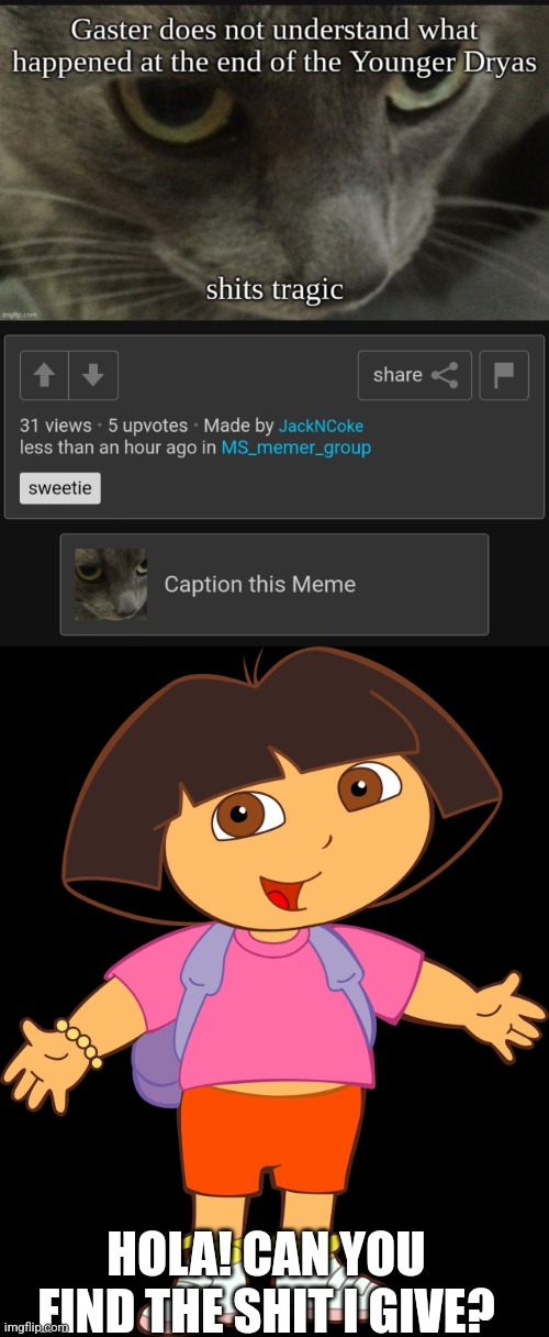 HOLA! CAN YOU FIND THE SHIT I GIVE? | image tagged in dora the explorer | made w/ Imgflip meme maker