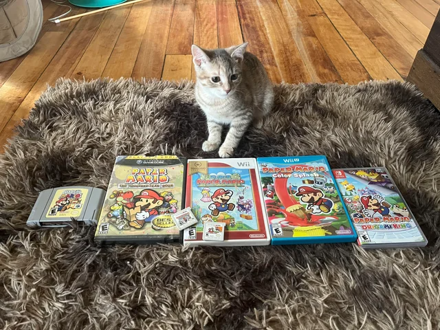 gamer cat Blank Meme Template
