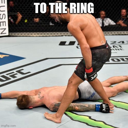 K.O. Knock out | TO THE RING | image tagged in k o knock out | made w/ Imgflip meme maker