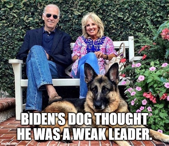 Biden's Dogs | BIDEN'S DOG THOUGHT HE WAS A WEAK LEADER. | image tagged in biden's dogs | made w/ Imgflip meme maker