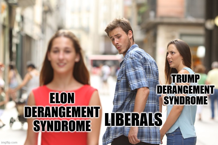 TRUMP DERANGEMENT SYNDROME ELON DERANGEMENT SYNDROME LIBERALS | image tagged in old gun vs new gun | made w/ Imgflip meme maker