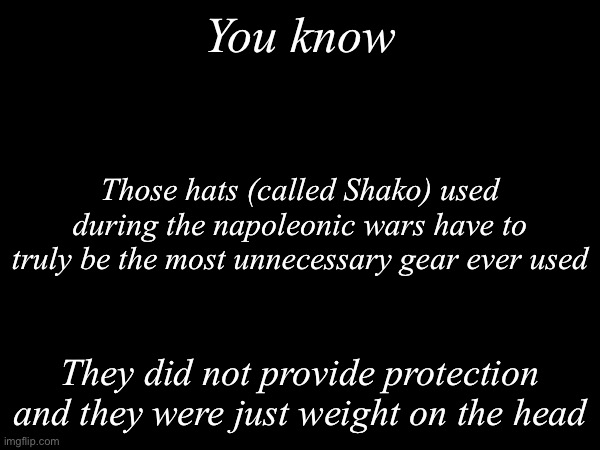 To be honest, they were both useless and a disadvantage | You know; Those hats (called Shako) used during the napoleonic wars have to truly be the most unnecessary gear ever used; They did not provide protection and they were just weight on the head | image tagged in msmg,napoleonic wars | made w/ Imgflip meme maker