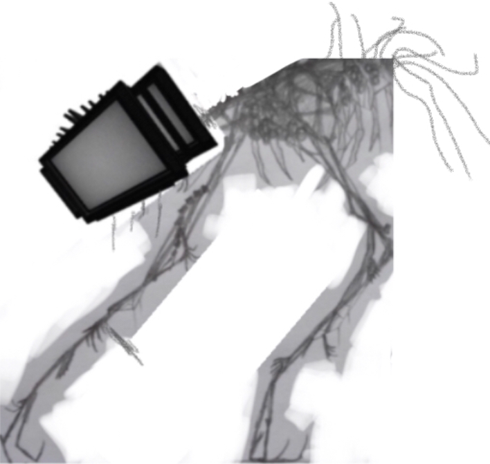 Bactv (phase 4) Blank Meme Template