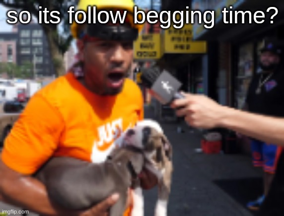 bingbong | so its follow begging time? | image tagged in bingbong | made w/ Imgflip meme maker