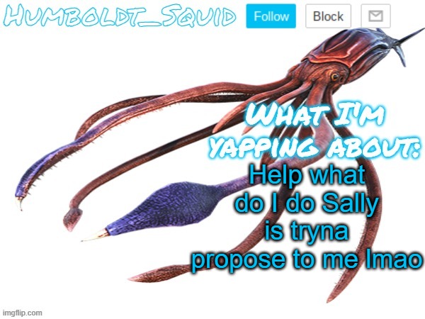 Humboldt_Squid Announcement Template | Help what do I do Sally is tryna propose to me lmao | made w/ Imgflip meme maker