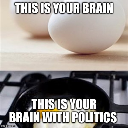 Politics is poison | THIS IS YOUR BRAIN; THIS IS YOUR BRAIN WITH POLITICS | image tagged in brain brain on drugs egg | made w/ Imgflip meme maker