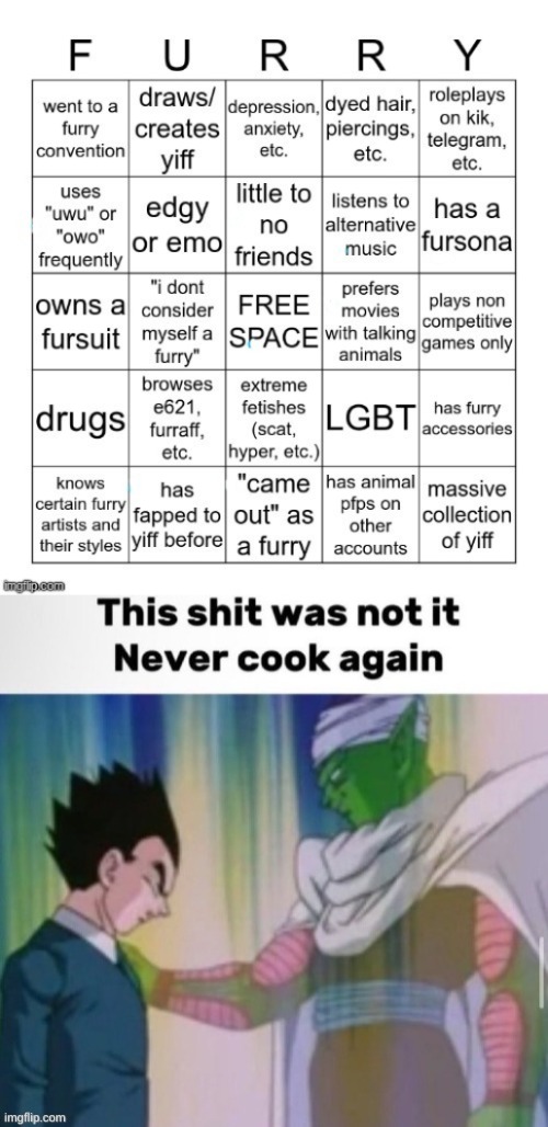 image tagged in furry bingo v2,this shit was not it never cook again | made w/ Imgflip meme maker