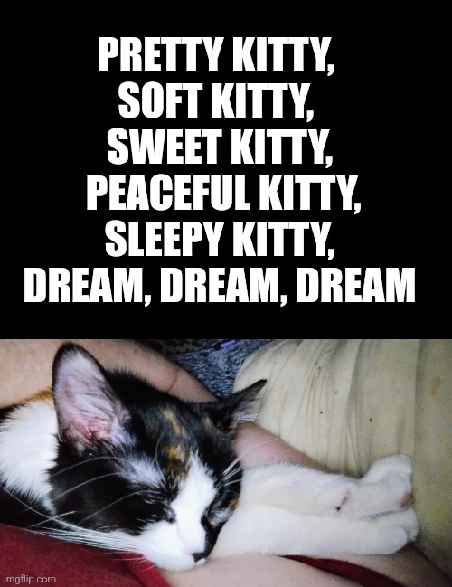 Dream Kitty | PRETTY KITTY, 
SOFT KITTY, 
SWEET KITTY,
 PEACEFUL KITTY,
 SLEEPY KITTY, 
DREAM, DREAM, DREAM | image tagged in memes,cats,sweet | made w/ Imgflip meme maker