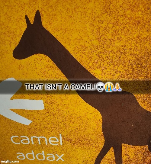 THAT ISN'T A CAMEL!💀😭🙏 | made w/ Imgflip meme maker