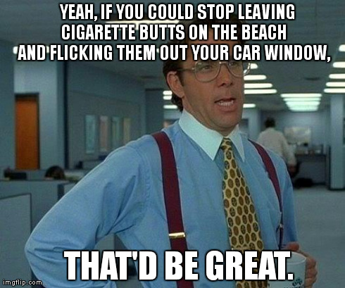 That Would Be Great Meme | YEAH, IF YOU COULD STOP LEAVING CIGARETTE BUTTS ON THE BEACH AND FLICKING THEM OUT YOUR CAR WINDOW,   THAT'D BE GREAT. | image tagged in memes,that would be great | made w/ Imgflip meme maker