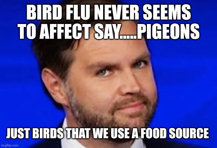 Vance | BIRD FLU NEVER SEEMS TO AFFECT SAY.....PIGEONS; JUST BIRDS THAT WE USE A FOOD SOURCE | image tagged in vance,funny memes | made w/ Imgflip meme maker