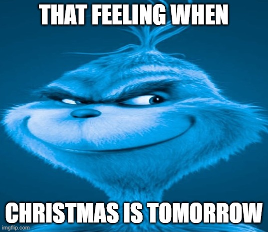 Merry christmas! | THAT FEELING WHEN; CHRISTMAS IS TOMORROW | image tagged in blue grinch,christmas,you have been eternally cursed for reading the tags,oh wow are you actually reading these tags | made w/ Imgflip meme maker