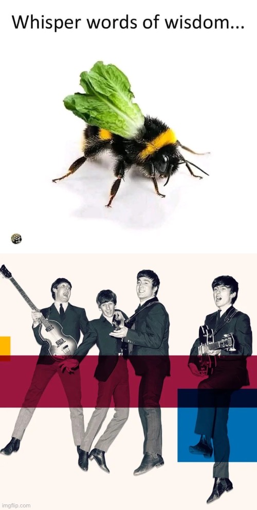 Whisper words of wisdom, let us bee | image tagged in beatles,let it be,lettuce,bee | made w/ Imgflip meme maker