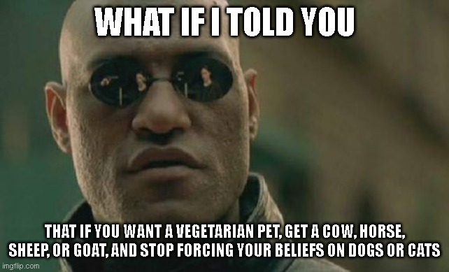 Matrix Morpheus | WHAT IF I TOLD YOU; THAT IF YOU WANT A VEGETARIAN PET, GET A COW, HORSE, SHEEP, OR GOAT, AND STOP FORCING YOUR BELIEFS ON DOGS OR CATS | image tagged in memes,matrix morpheus | made w/ Imgflip meme maker