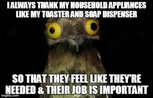 Weird Stuff I Do Potoo | I ALWAYS THANK MY HOUSEHOLD APPLIANCES LIKE MY TOASTER AND SOAP DISPENSER  SO THAT THEY FEEL LIKE THEY'RE NEEDED & THEIR JOB IS IMPORTANT | image tagged in memes,weird stuff i do potoo,AdviceAnimals | made w/ Imgflip meme maker