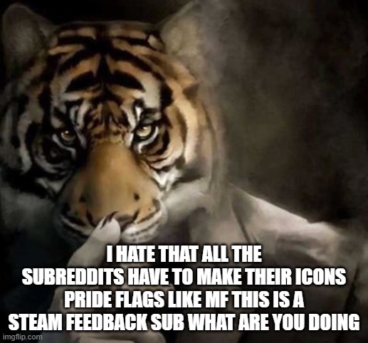 tiger smoking cigar | I HATE THAT ALL THE SUBREDDITS HAVE TO MAKE THEIR ICONS PRIDE FLAGS LIKE MF THIS IS A STEAM FEEDBACK SUB WHAT ARE YOU DOING | image tagged in tiger smoking cigar | made w/ Imgflip meme maker