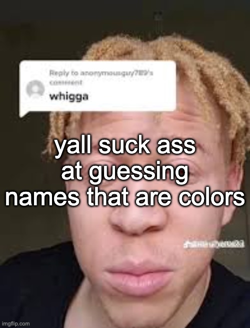 whigga | yall suck ass at guessing names that are colors | image tagged in whigga | made w/ Imgflip meme maker