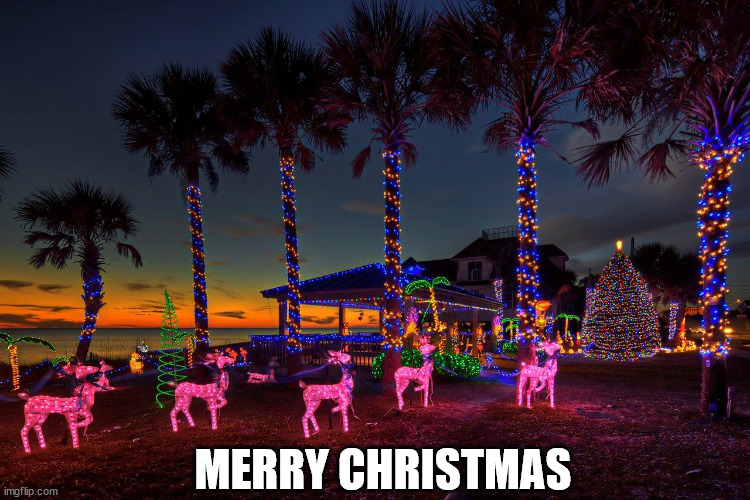 Florida Christmas | MERRY CHRISTMAS | image tagged in florida christmas | made w/ Imgflip meme maker