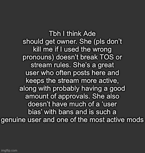 Blank Dark Mode Square | Tbh I think Ade should get owner. She (pls don’t kill me if I used the wrong pronouns) doesn’t break TOS or stream rules. She’s a great user who often posts here and keeps the stream more active, along with probably having a good amount of approvals. She also doesn’t have much of a ‘user bias’ with bans and is such a genuine user and one of the most active mods | image tagged in blank dark mode square | made w/ Imgflip meme maker