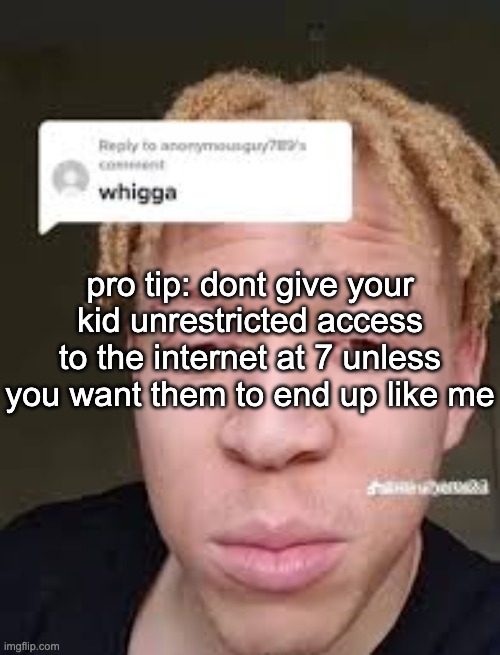 severely mentally ill transgender dipshit | pro tip: dont give your kid unrestricted access to the internet at 7 unless you want them to end up like me | image tagged in whigga | made w/ Imgflip meme maker