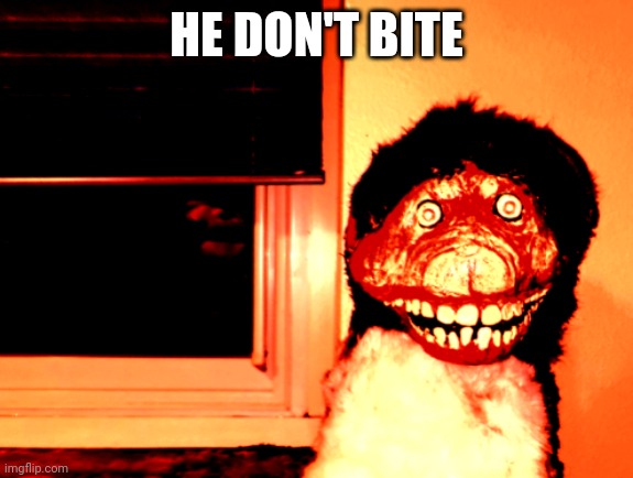 He don't bite | HE DON'T BITE | image tagged in cute,cute dog,adorable,lovely,dog | made w/ Imgflip meme maker