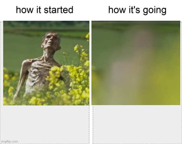 How it started vs how it's going | image tagged in how it started vs how it's going | made w/ Imgflip meme maker