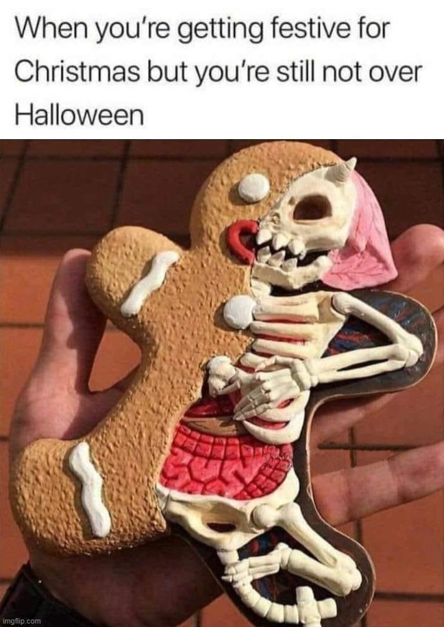 Great cookie | image tagged in halloween,christmas | made w/ Imgflip meme maker