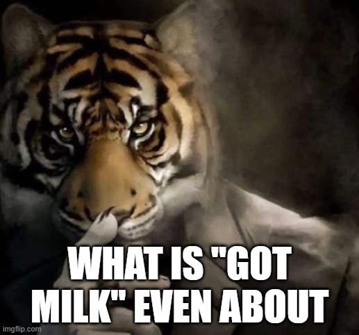 tiger smoking cigar | WHAT IS "GOT MILK" EVEN ABOUT | image tagged in tiger smoking cigar | made w/ Imgflip meme maker