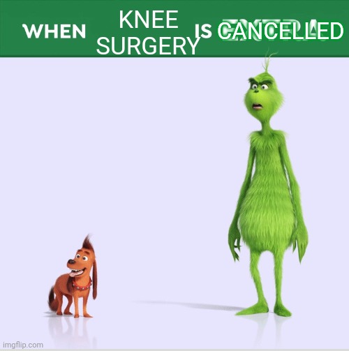 When you spill yellow ink on blue grinch: | KNEE SURGERY; CANCELLED | image tagged in when guac is extra | made w/ Imgflip meme maker