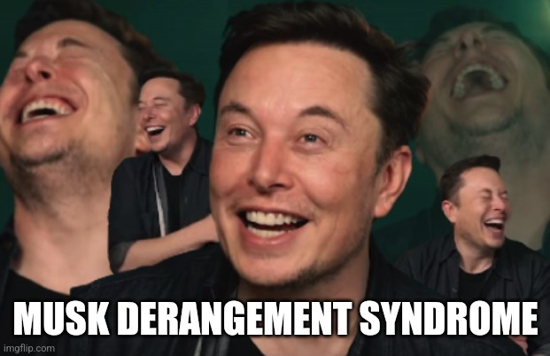 Elon Musk Laughing | MUSK DERANGEMENT SYNDROME | image tagged in elon musk laughing | made w/ Imgflip meme maker