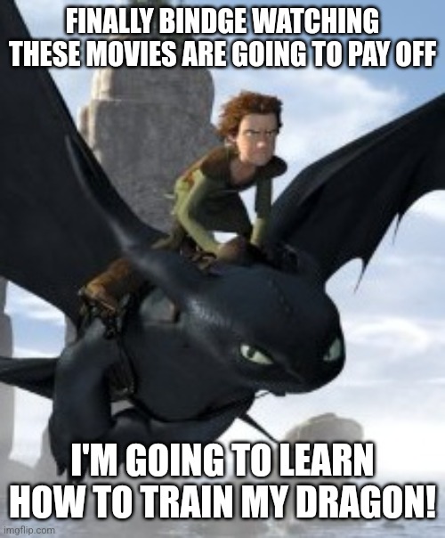 How to train your dragon | FINALLY BINDGE WATCHING THESE MOVIES ARE GOING TO PAY OFF I'M GOING TO LEARN HOW TO TRAIN MY DRAGON! | image tagged in how to train your dragon | made w/ Imgflip meme maker