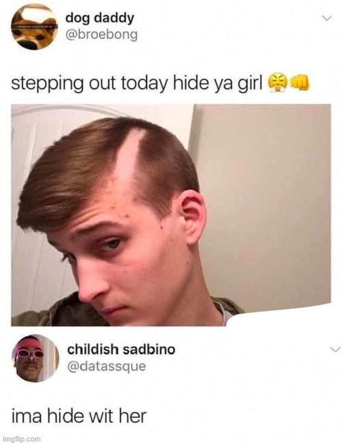 image tagged in hair,haircut,bad haircut,girl,hide,wtf | made w/ Imgflip meme maker