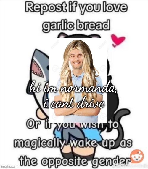 hi im normanda, i cant drive | made w/ Imgflip meme maker
