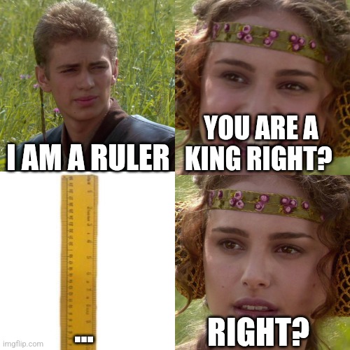 Reject mankind accept ruler | YOU ARE A KING RIGHT? I AM A RULER; RIGHT? ... | image tagged in anakin padme 4 panel,ruler,funny,memes,funny memes,meme | made w/ Imgflip meme maker