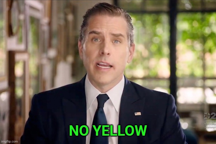 Hunter Biden | NO YELLOW | image tagged in hunter biden | made w/ Imgflip meme maker