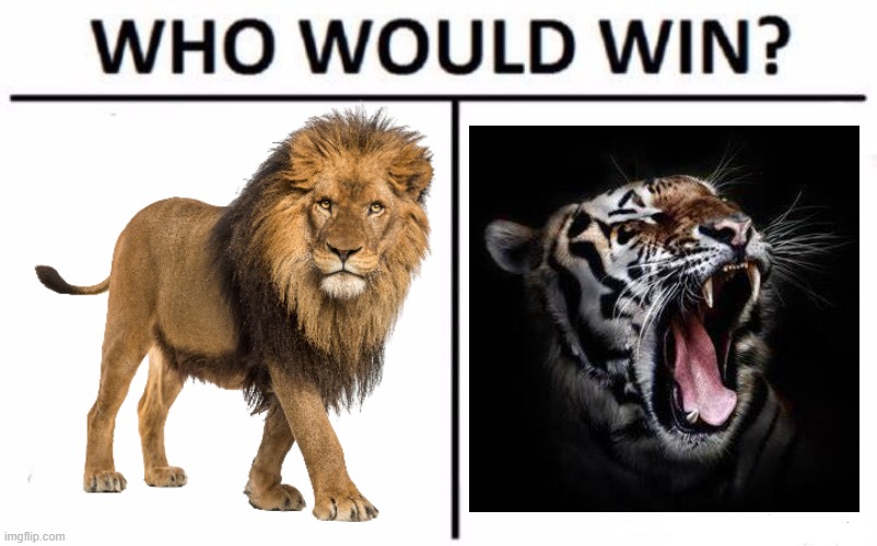 Who Would Win? Meme | image tagged in memes,who would win | made w/ Imgflip meme maker