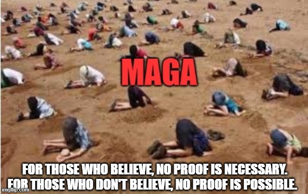 MAGA - No Proof Possible | FOR THOSE WHO BELIEVE, NO PROOF IS NECESSARY.
FOR THOSE WHO DON'T BELIEVE, NO PROOF IS POSSIBLE. | image tagged in maga,conservatives,republicans,america first,traitors | made w/ Imgflip meme maker