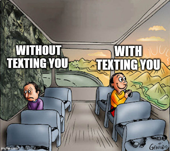 When you flirt someone | WITH TEXTING YOU; WITHOUT TEXTING YOU | image tagged in two guys on a bus | made w/ Imgflip meme maker