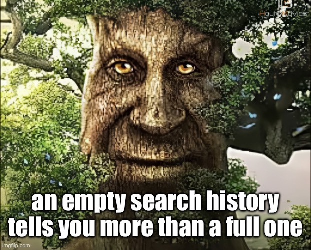 wisdom | an empty search history tells you more than a full one | image tagged in tree | made w/ Imgflip meme maker