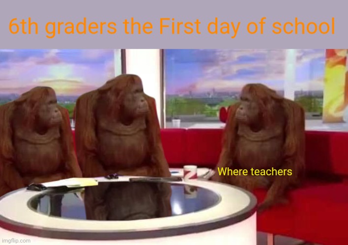 where monkey | 6th graders the First day of school; Where teachers | image tagged in where monkey | made w/ Imgflip meme maker