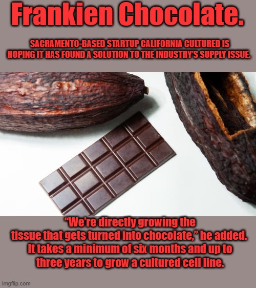 YUM..Grown Tissue. How organic is that. | Frankien Chocolate. SACRAMENTO-BASED STARTUP CALIFORNIA CULTURED IS HOPING IT HAS FOUND A SOLUTION TO THE INDUSTRY’S SUPPLY ISSUE. “We’re directly growing the tissue that gets turned into chocolate,” he added. 

It takes a minimum of six months and up to three years to grow a cultured cell line. | made w/ Imgflip meme maker